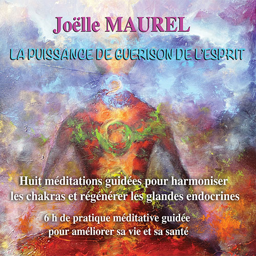 Music 4 Pro : La puissance de guérison de l'esprit (2 CD)